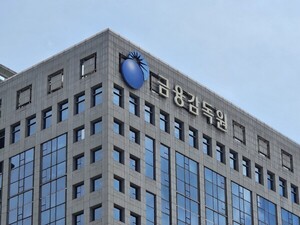 핀다, 무인가 합병·미성년자 정보 무단수집 적발...금감원 '기관주의' - 뉴스 썸네일 이미지