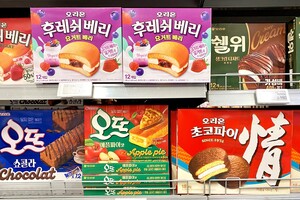 해외서 날개 단 오리온...바이오도 이륙할까 [이슈 더보기] - 뉴스 썸네일 이미지